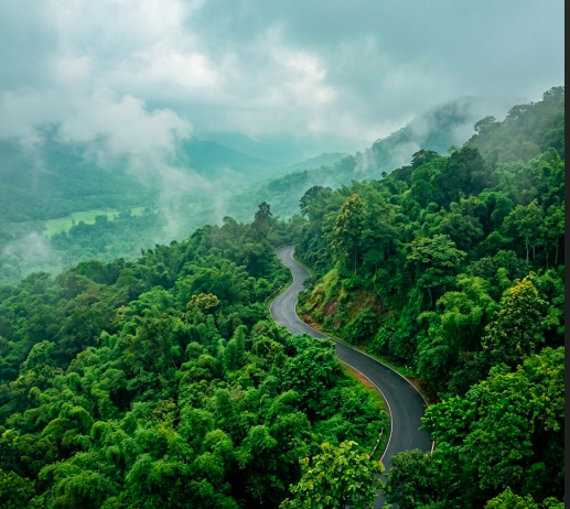 Bangalore to Wayanad: A Weekend That Starts the Moment You Pick the Right Stay - Content - Image 2
