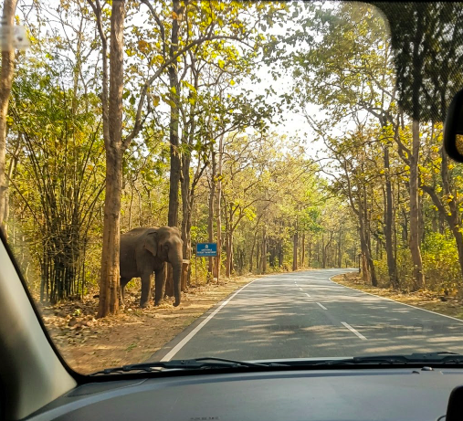 Bangalore to Wayanad: A Weekend That Starts the Moment You Pick the Right Stay - The Route, Distance, and Travel Time - Image 2