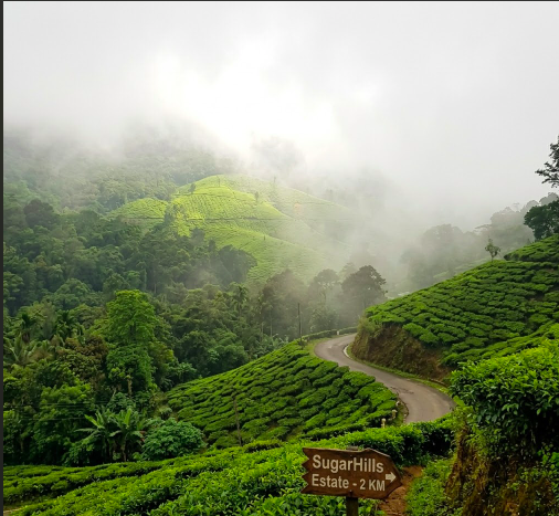 Bangalore to Wayanad: A Weekend That Starts the Moment You Pick the Right Stay - The Route, Distance, and Travel Time - Image 3