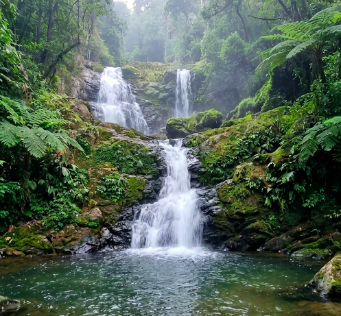 Bangalore to Wayanad: A Weekend That Starts the Moment You Pick the Right Stay - What's Actually Nearby (The Northern & Central Highlights) - Image 2