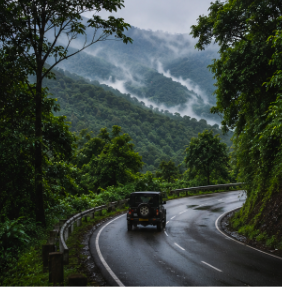 Everything You Need to Know Before Visiting Wayanad, Kerala (2026 Complete Travel Guide) - Why Wayanad Is Different from Munnar, Thekkady, Coorg & Ooty - Image 2
