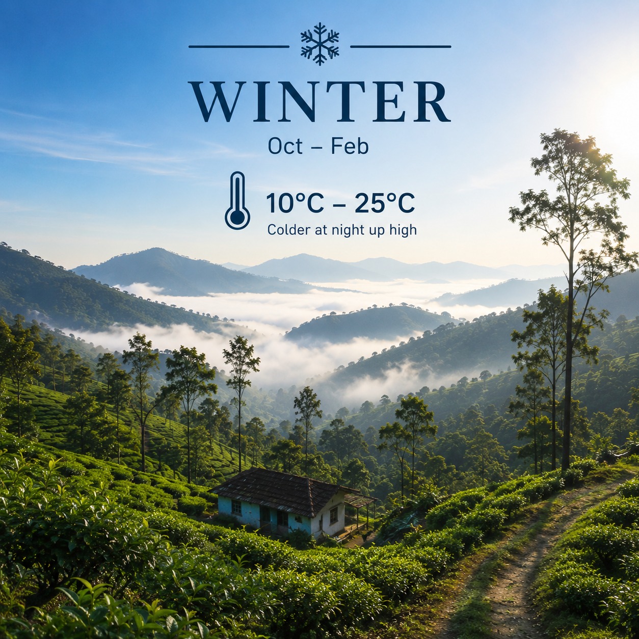 Everything You Need to Know Before Visiting Wayanad, Kerala (2026 Complete Travel Guide) - Best Time to Visit Wayanad - Image 1