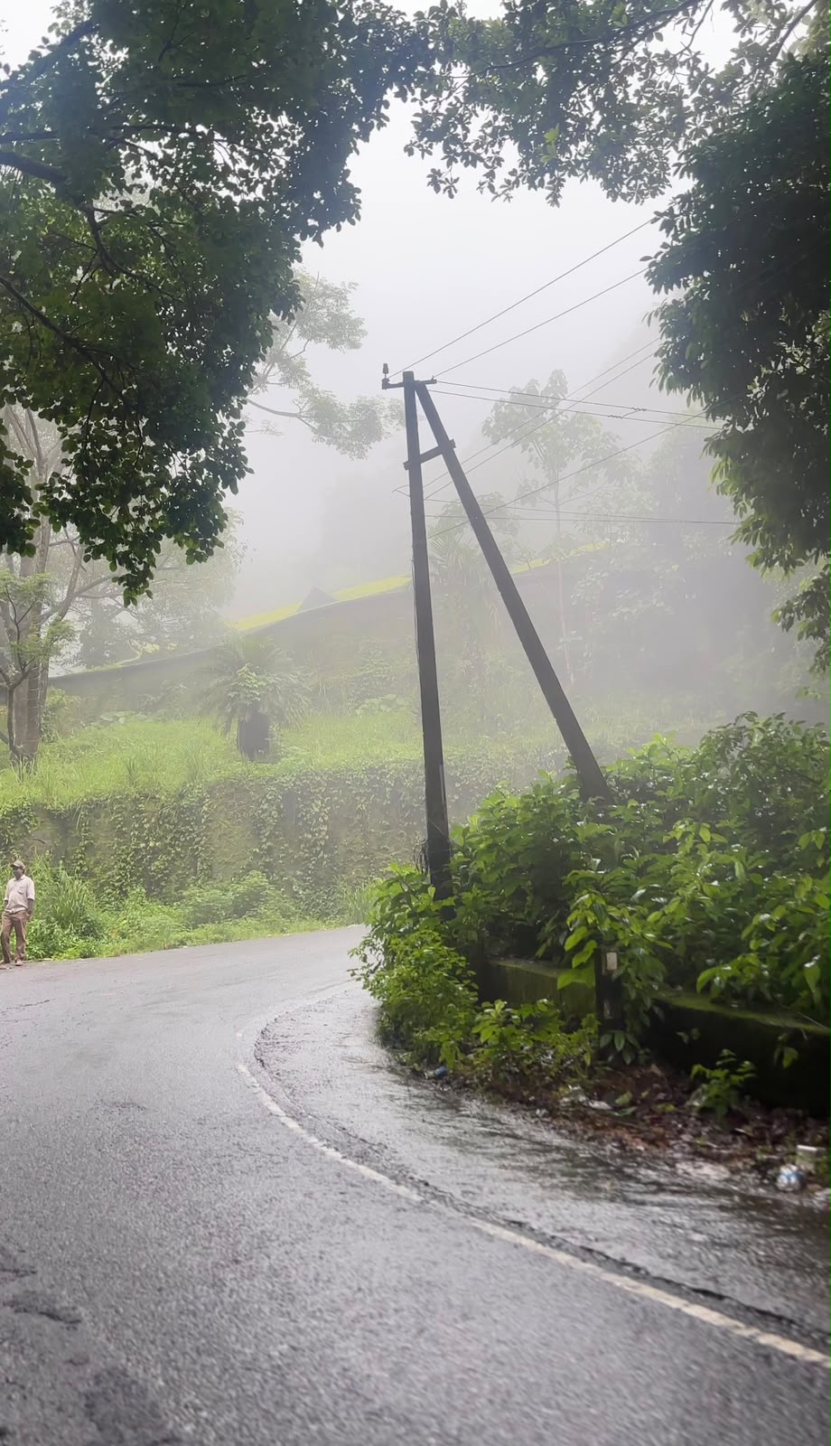 Wayanad Monsoon Travel Guide: How to Plan a Peaceful Hill Stay with Confidence - Is Wayanad Safe to Travel in the Monsoon? - Image 1